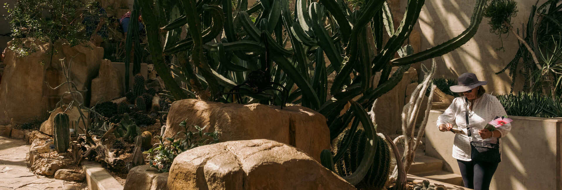 Footer Background Image