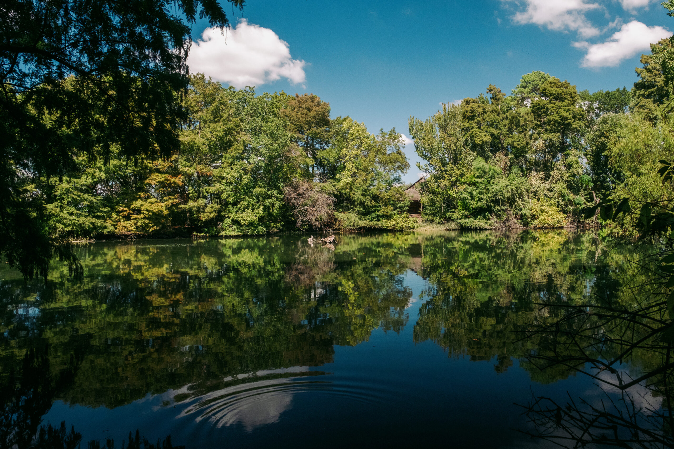 Texas Native Trail