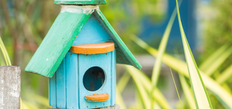 Beginning Birding Workshop