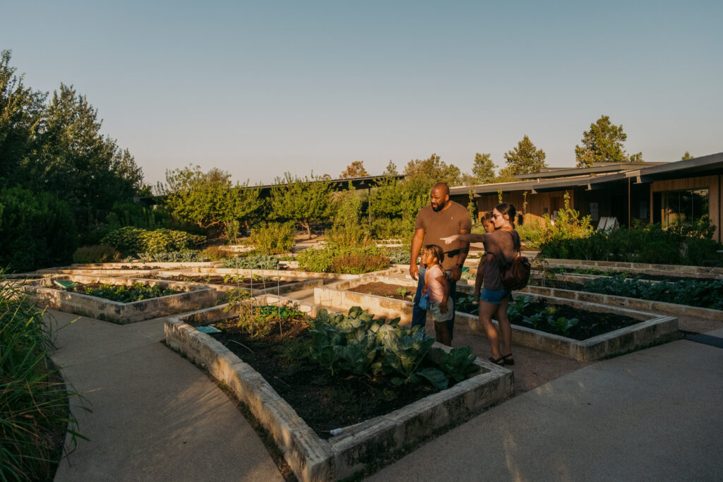 The Zachry Foundation Culinary Garden