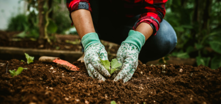 Digging into Texas Soil