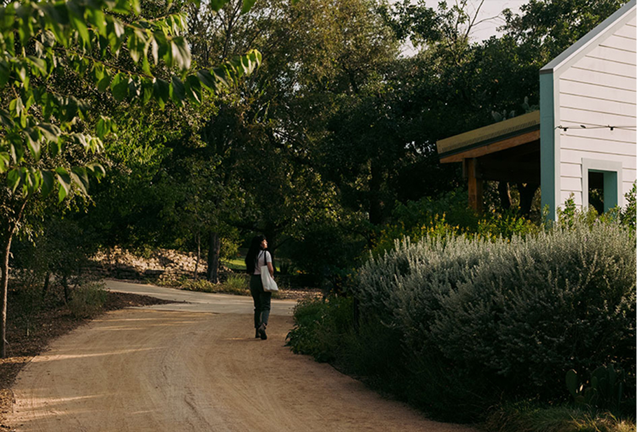 walking trail at SABG