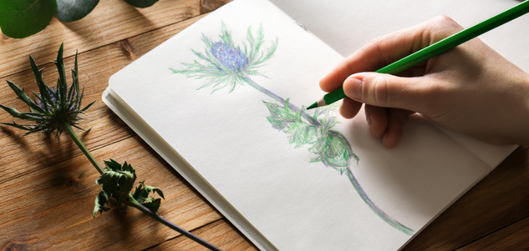 Sketching in the Garden