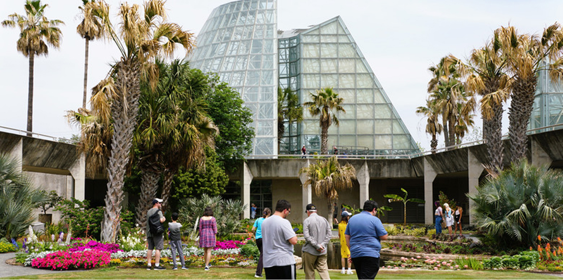 greenhouse exterior at SABG