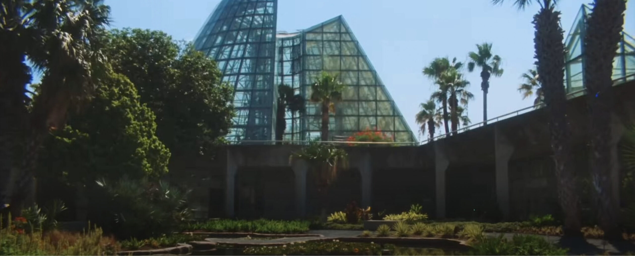 greenhouse exterior at SABG