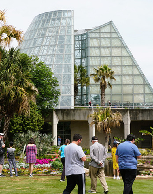 greenhouse exterior at SABG