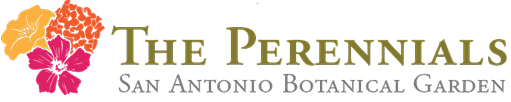The Perennials logo