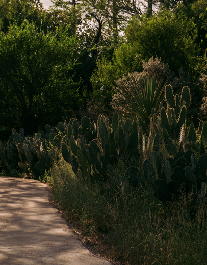 walking trail at SABG