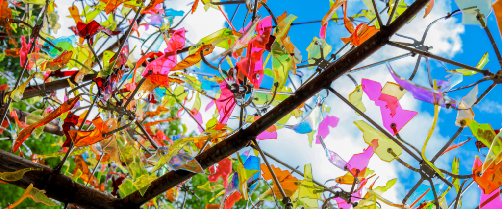 Celebrate Otherwild!