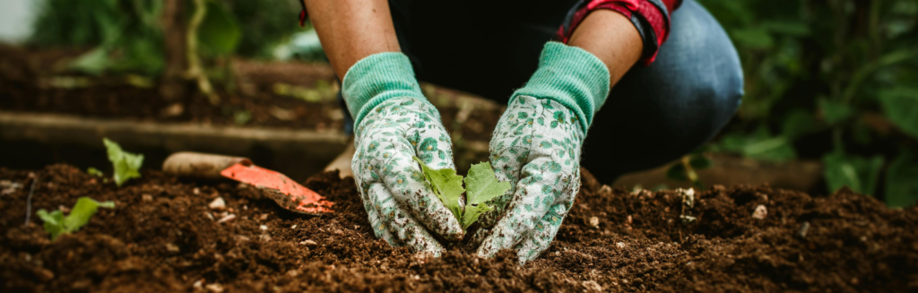Dementia-Friendly Gardening
