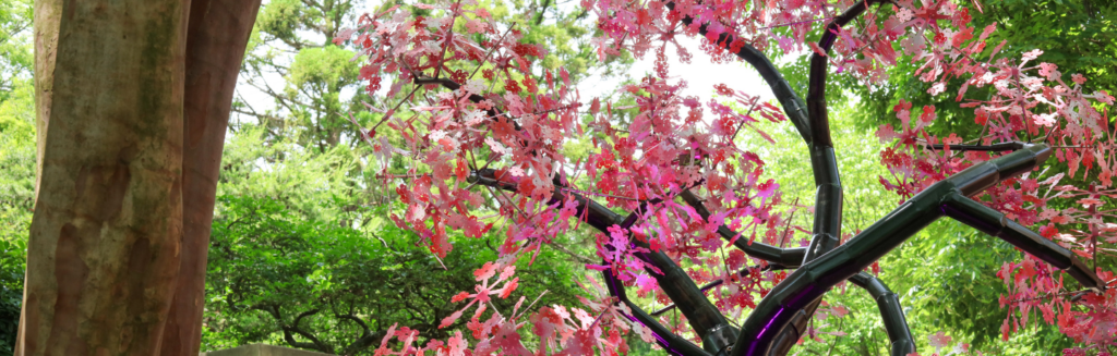 Member Exclusive Otherwild Photos