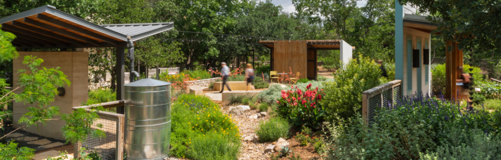 Drop-in Guided Tour: Texas WaterSaver Garden  