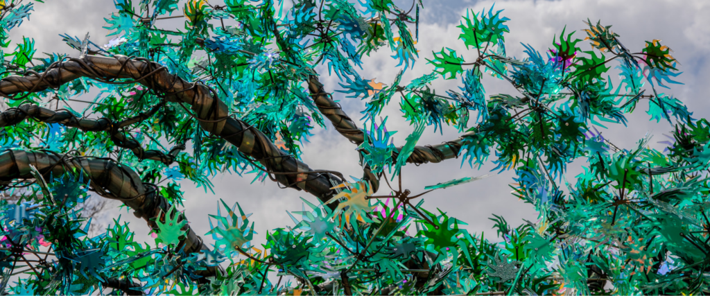 Under the Enchanted Trees Series
