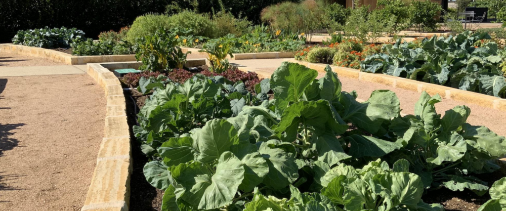 Guided Tour: Spring Culinary Garden