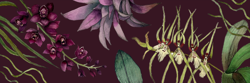 Splendor in the Garden