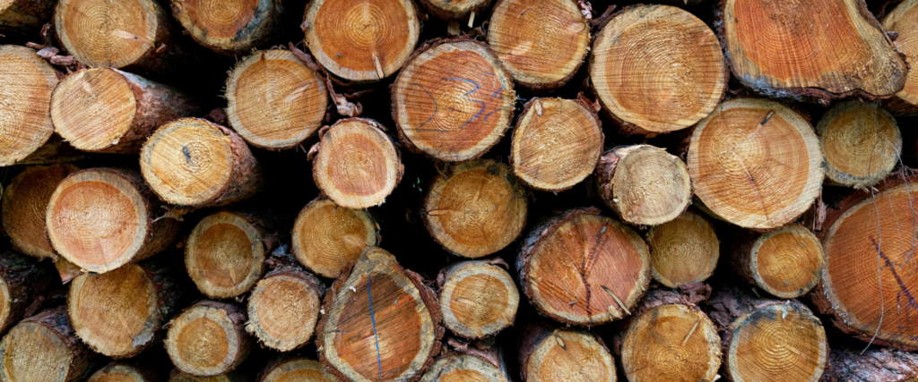 Green Wood Milling: Urban Timber Reclamation