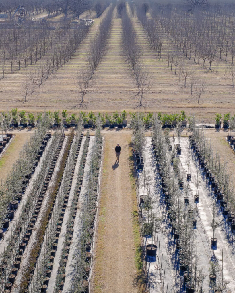 Hope for the Guadalupe