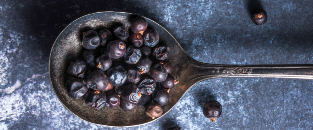 Cocktail Scavenger Hunt – Otherwild Edition with Juniper