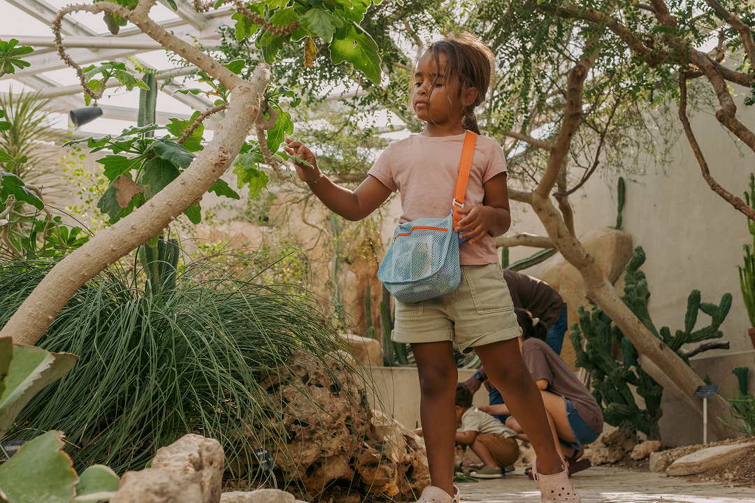 A volunteer watering plants in the garden