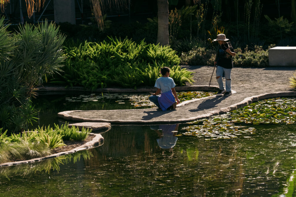Sprouts Discount Program San Antonio Botanical Garden Calendar