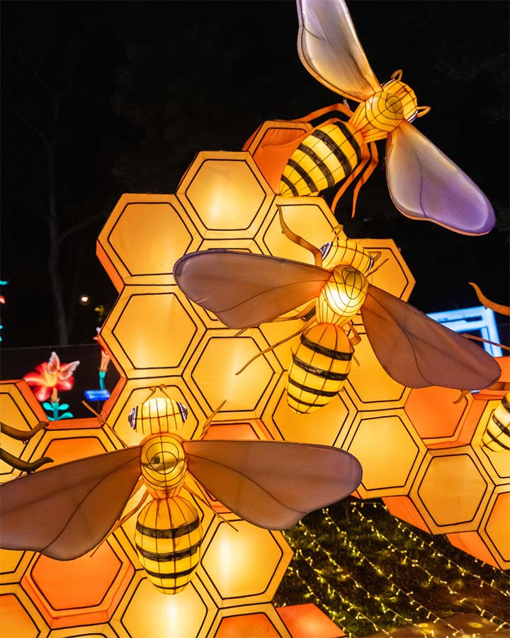 Glowing bees and honeycomb light fixture